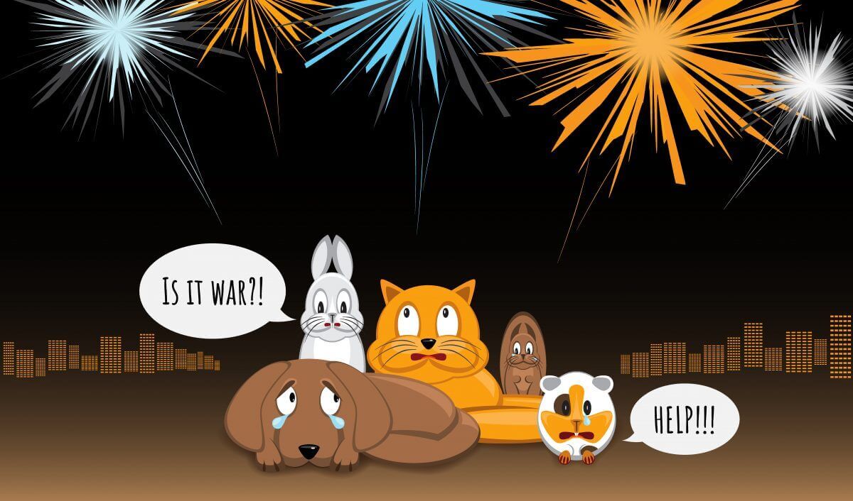 Top 10 Fourth of July Safety Tips for Your Pet